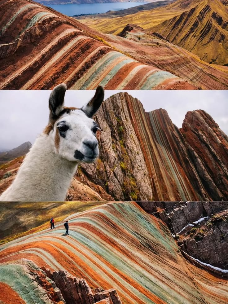Ciudad de Cusco
